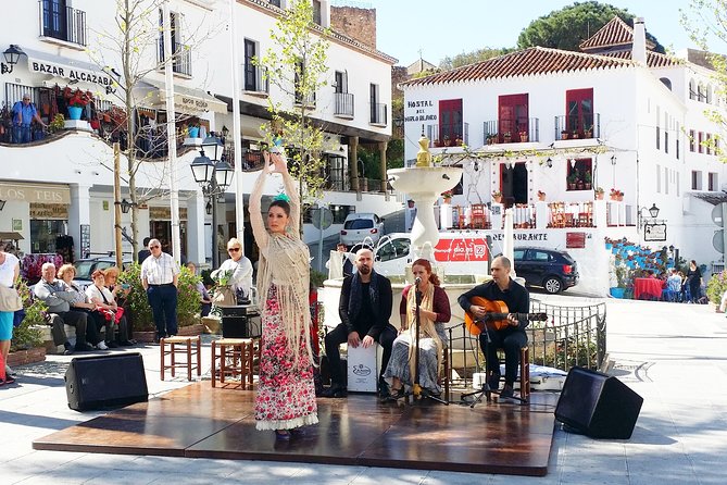 Mijas Pueblo Group Walking Tour - Tour Overview