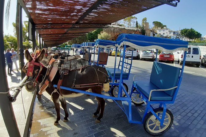 Mijas Pueblo Group Walking Tour - Meeting Point and Schedule