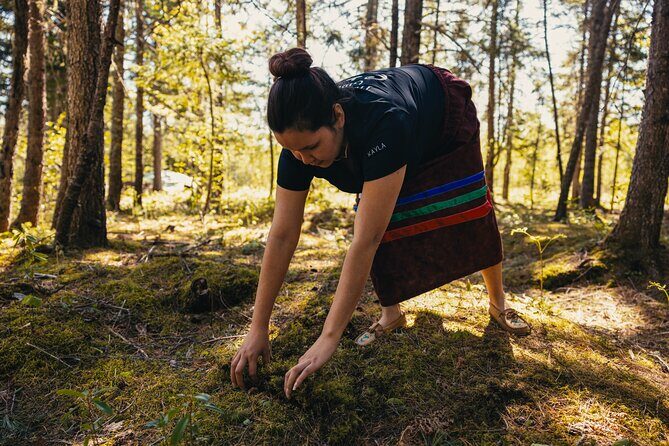 Mi'kmaq Heritage Path Tour - The Natural Setting and Its Significance