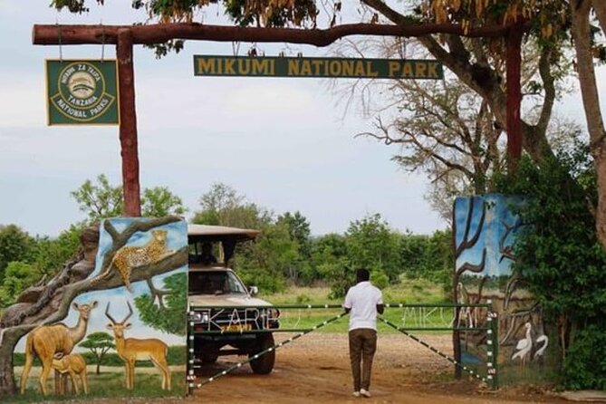 Mikumi National Park 2 Days/ 1 Night - Customer Reviews and Feedback