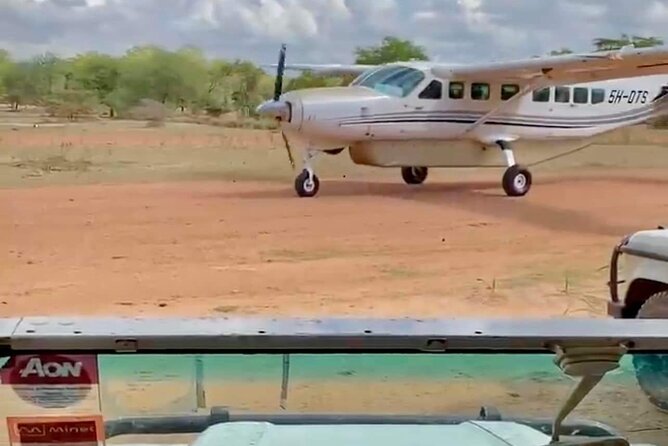 Mikumi National Park Day Trip - Guided Game Drive Experience