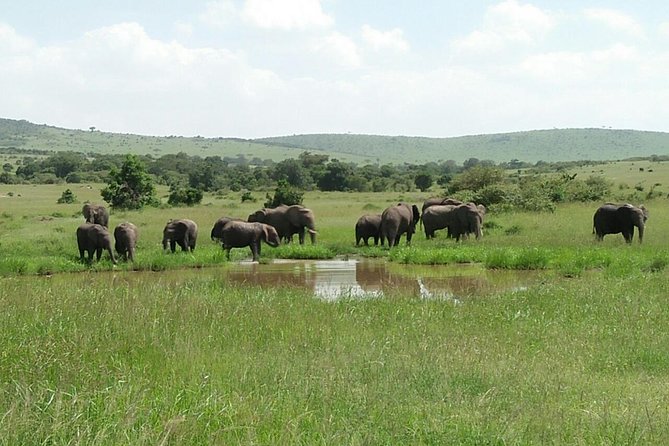 Mikumi National Park Full Day Tour From Dar Es Sallam - Recommendations and Tips