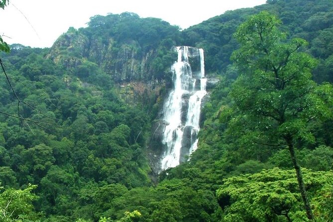 Mikumi National Park & Udzungwa Water Falls 3 Days Group Tour - Activities Included