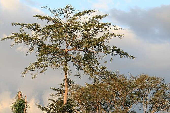 Mikumi National Park & Udzungwa Water Falls 3 Days Group Tour - Transportation and Transfers
