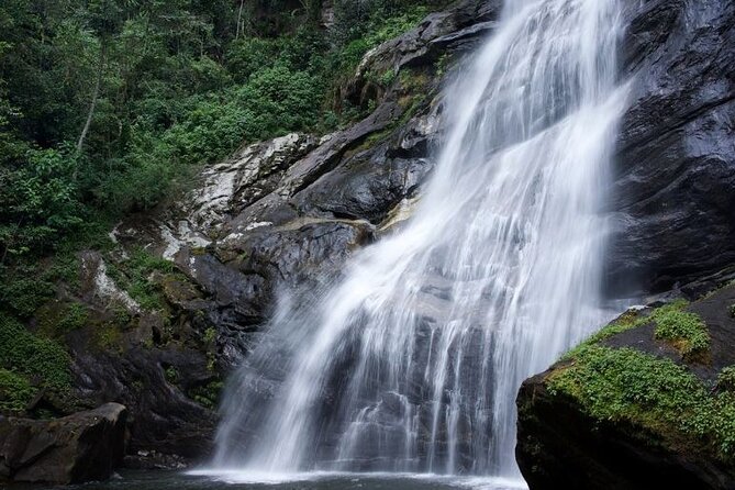 Mikumi National Park & Udzungwa Water Falls 3 Days Group Tour - Game Drives in Mikumi