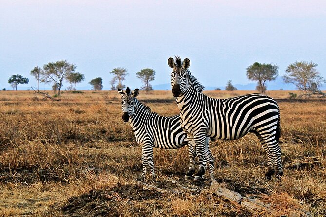 Mikumi National Park & Udzungwa Water Falls 3 Days Group Tour - Booking and Cancellation Policy