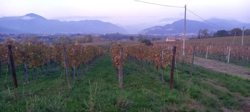 Milan: Brescia & Franciacorta Guided Tour With Wine Tasting - Wine Experience in Franciacorta