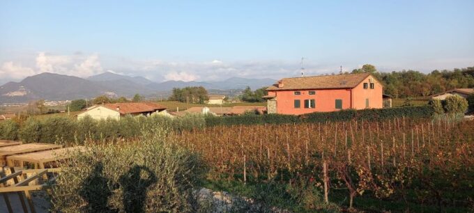 Milan: Brescia & Franciacorta Guided Tour With Wine Tasting - What to Bring and Tour Information