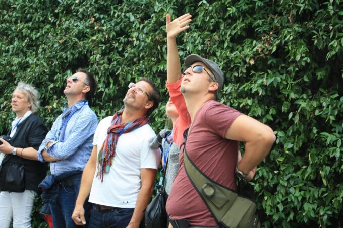 Milan: Piazza Gae Aulenti and Pelli Tower Walking Tour - Accessibility and Restrictions