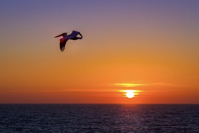 Milbi Sunset Cruise With Champagne and Prawns - Booking Information