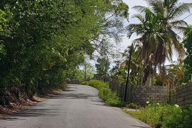 Mile End Walking Tour From Ocho Rios - Pickup Information