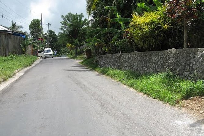 Mile End Walking Tour From Ocho Rios - Cancellation and Rescheduling