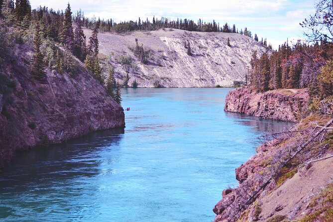 Miles Canyon: a Smartphone Audio Nature Tour - Accessing the Tour on the Tripvia App