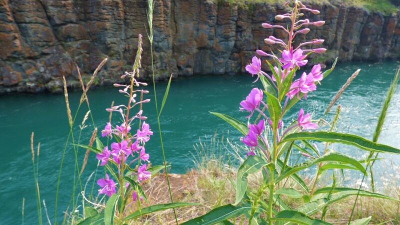Miles Canyon: Self-Guided Nature Tour With Audio Guide - Customer Feedback and Ratings