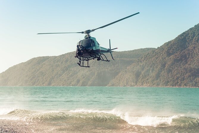 Milford and Fiordland Highlights Tour by Helicopter From Queenstown - Additional Information