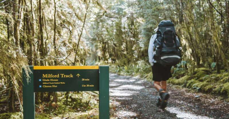 Milford Day Walk | Milford Track Day Walk From Lake Te Anau - Booking Information