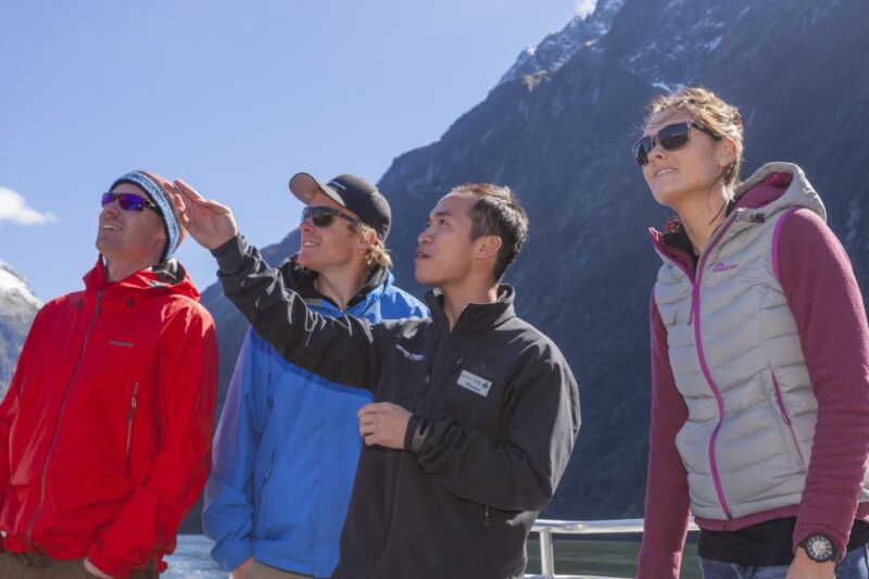 Milford Sound: 2-Hour Small Boat Scenic Cruise - Key Points