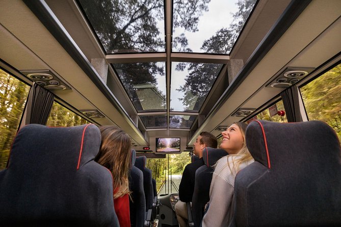 Milford Sound Coach and Cruise From Queenstown With Buffet Lunch - Included Services and Features