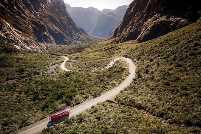 Milford Sound Coach and Cruise From Queenstown With Buffet Lunch - Accessibility and Requirements