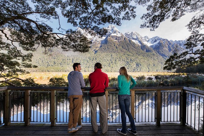 Milford Sound Coach and Cruise From Te Anau With Buffet Lunch - Accessibility and Requirements