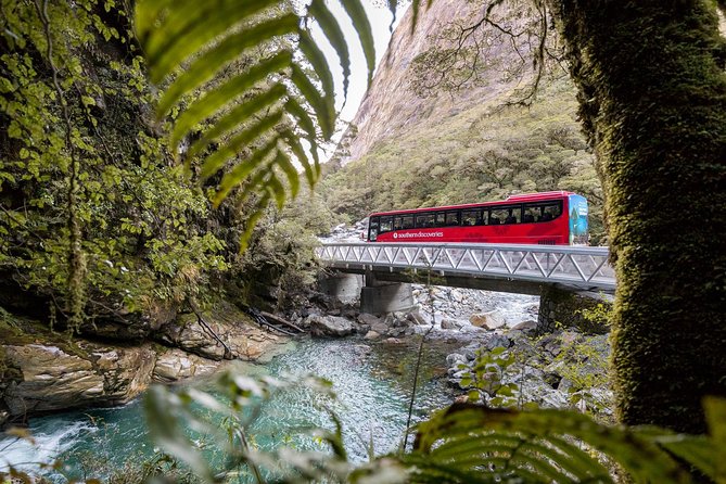 Milford Sound Coach and Cruise From Te Anau With Buffet Lunch - Stunning Landscapes and Scenery