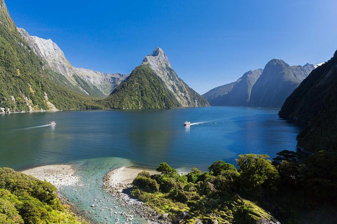 Milford Sound Coach and Nature Cruise With Buffet Lunch From Te Anau - Cruise Experience