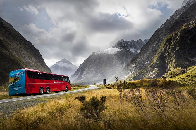 Milford Sound Coach and Nature Cruise With Buffet Lunch From Te Anau - Coach Features