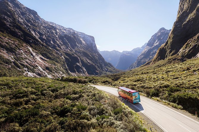 Milford Sound Coach and Scenic Lunch Cruise From Queenstown - Customer Experiences and Feedback