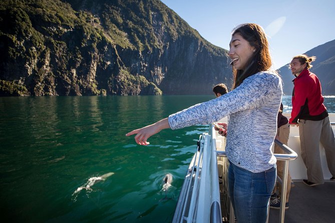 Milford Sound Coach, Cruise and Underwater Observatory With Lunch Ex Te Anau - Cruise Experience