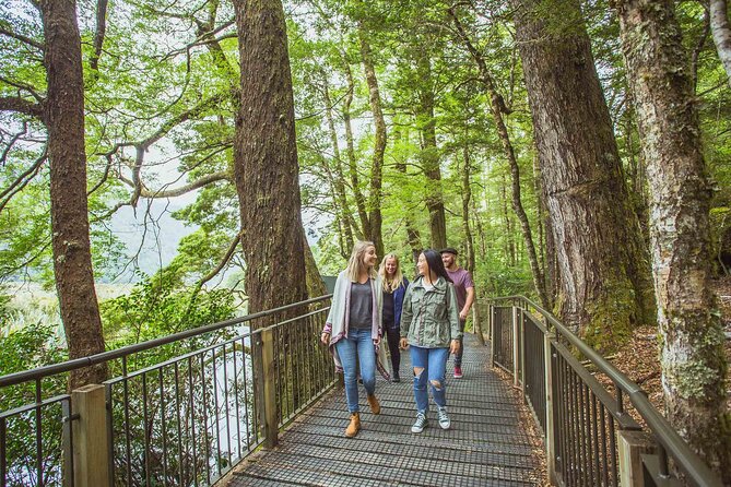 Milford Sound Coach & Cruise Tour From Te Anau - Recommendations and Considerations