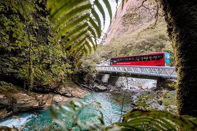 Milford Sound Coach & Discover More With Lunch Ex Queenstown - Meeting Point and Pickup