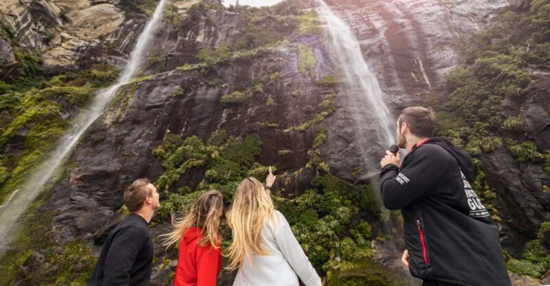Milford Sound: Cruise and Underwater Observatory - Cruise Features