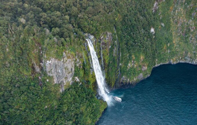 Milford Sound: Cruise and Underwater Observatory - Exploring Milford Sound