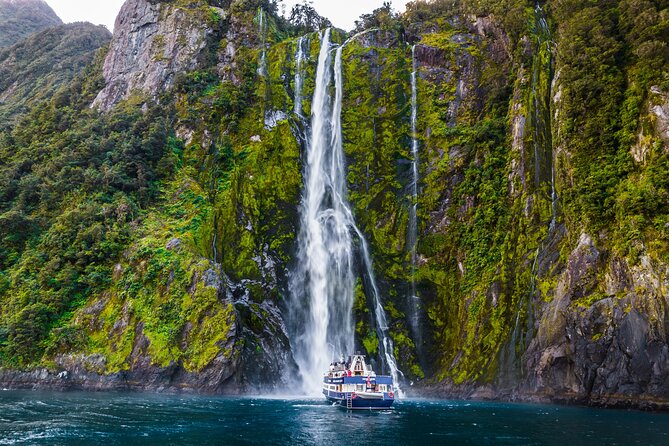Milford Sound Cruise From Queenstown or Te Anau - Wildlife Sightings in Milford Sound
