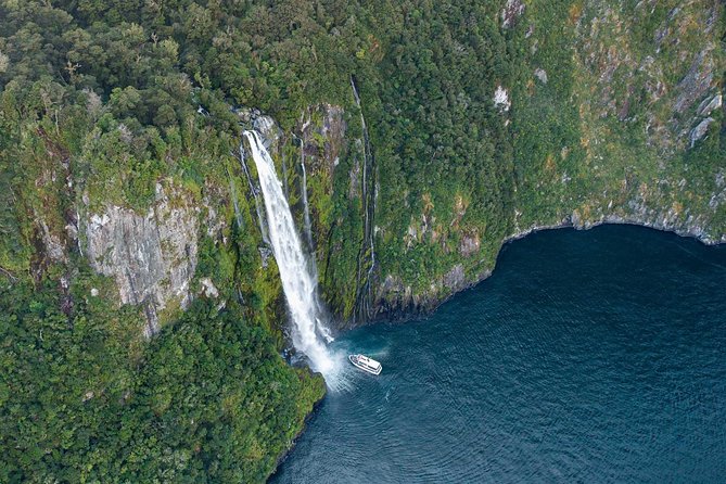 Milford Sound Cruise Including Underwater Observatory - Underwater Observatory Experience