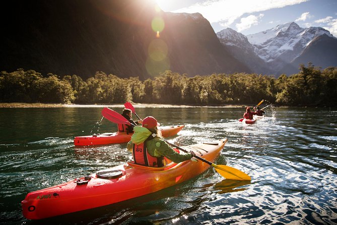 Milford Sound Cruise With Optional Kayak Tour - Important Information and Logistics