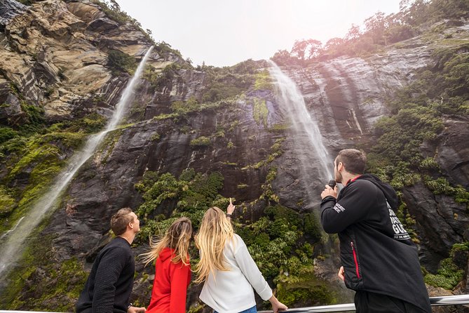 Milford Sound Cruise With Optional Kayak Tour - Customer Reviews and Experiences