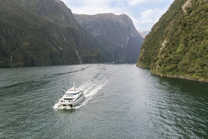 Milford Sound Day Tour With Lunch From Queenstown - Customer Feedback