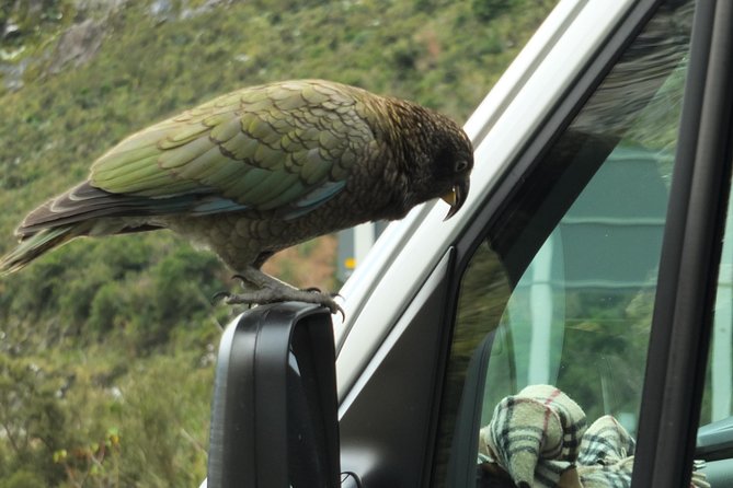 Milford Sound Discovery Tour - Accessibility Considerations
