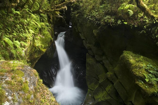 Milford Sound Discovery Tour - Booking Process
