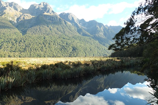 Milford Sound Discovery Tour - Review Summary