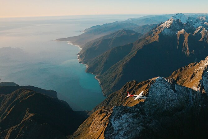 Milford Sound Fly Cruise Fly From Queenstown by Glenorchy Air - Wildlife Sightings on the Water