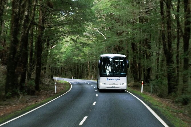 Milford Sound Full-Day Tour From Te Anau - Scenic Viewpoints