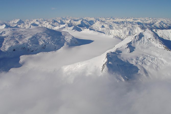 Milford Sound Glacier Flight & Cruise From Wanaka - Accessibility and Group Size