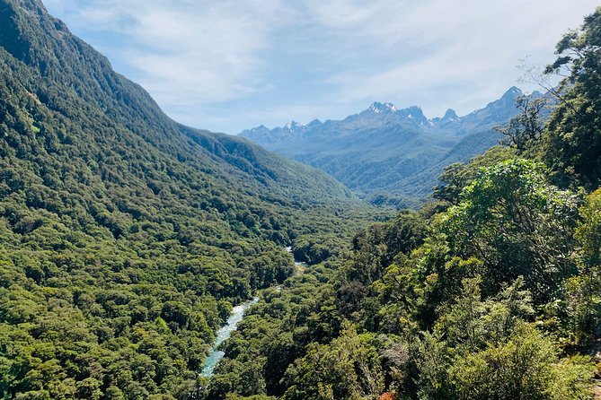 Milford Sound Heli Flight Including Scenic Landings, Boat Cruise - Itinerary Highlights
