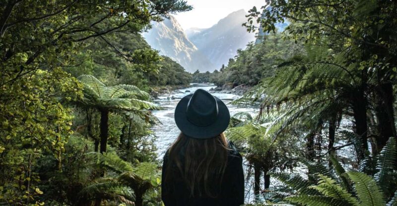 Milford Sound: Milford Track Day Hike - Key Points