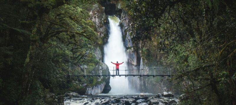 Milford Sound: Milford Track Day Hike - Hiking Experience