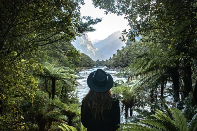 Milford Sound: Milford Track Day Hike - Cancellation Policy