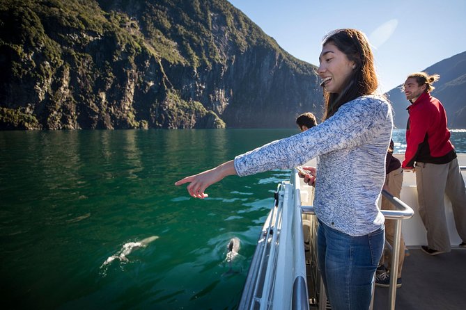 Milford Sound Nature Cruise - On-Board Experience