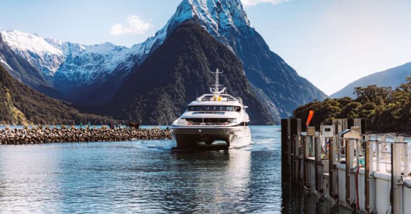 Milford Sound: Nature Cruise on a Modern Catamaran - Wildlife and Scenic Highlights